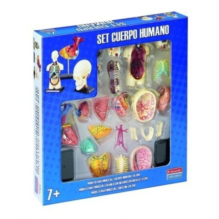 JUEGO MESA SET DEL CUERPO HUMANO