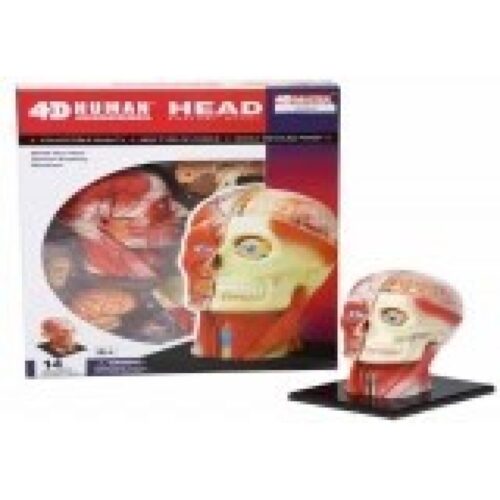 JUEGO MESA NUEVO CRANEO HUMANO 4D