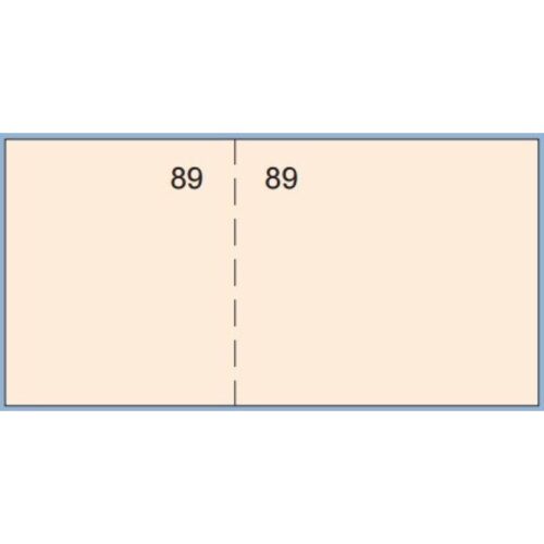 TALONARIO LOAN TICKET CAJA 1/3 NUM.COLORES