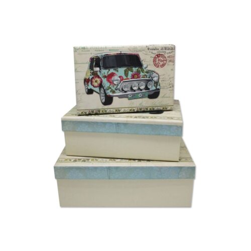 ¨CAJA JUEGO 3 MINI FLOWER CAR C/BRILLANTINA