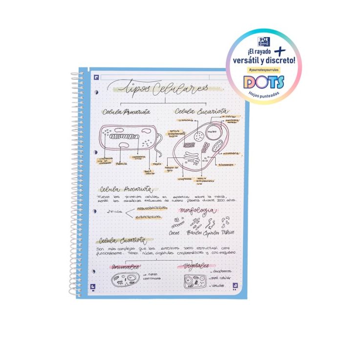 BLOC ESPIRAL OXFORD A4+ 80H DOTS EUROPEAN BOOK SURTIDO PASTEL